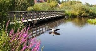 Natuurpark De Vrije Geer